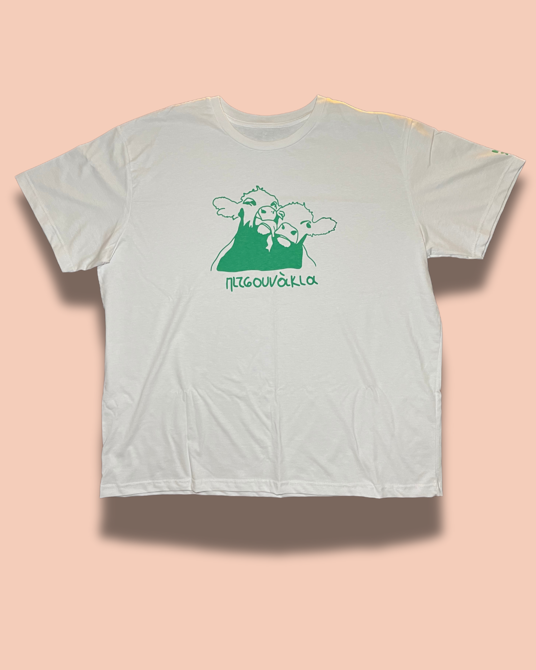 ΠΙΤΣΟΥΝΑΚΙΑ